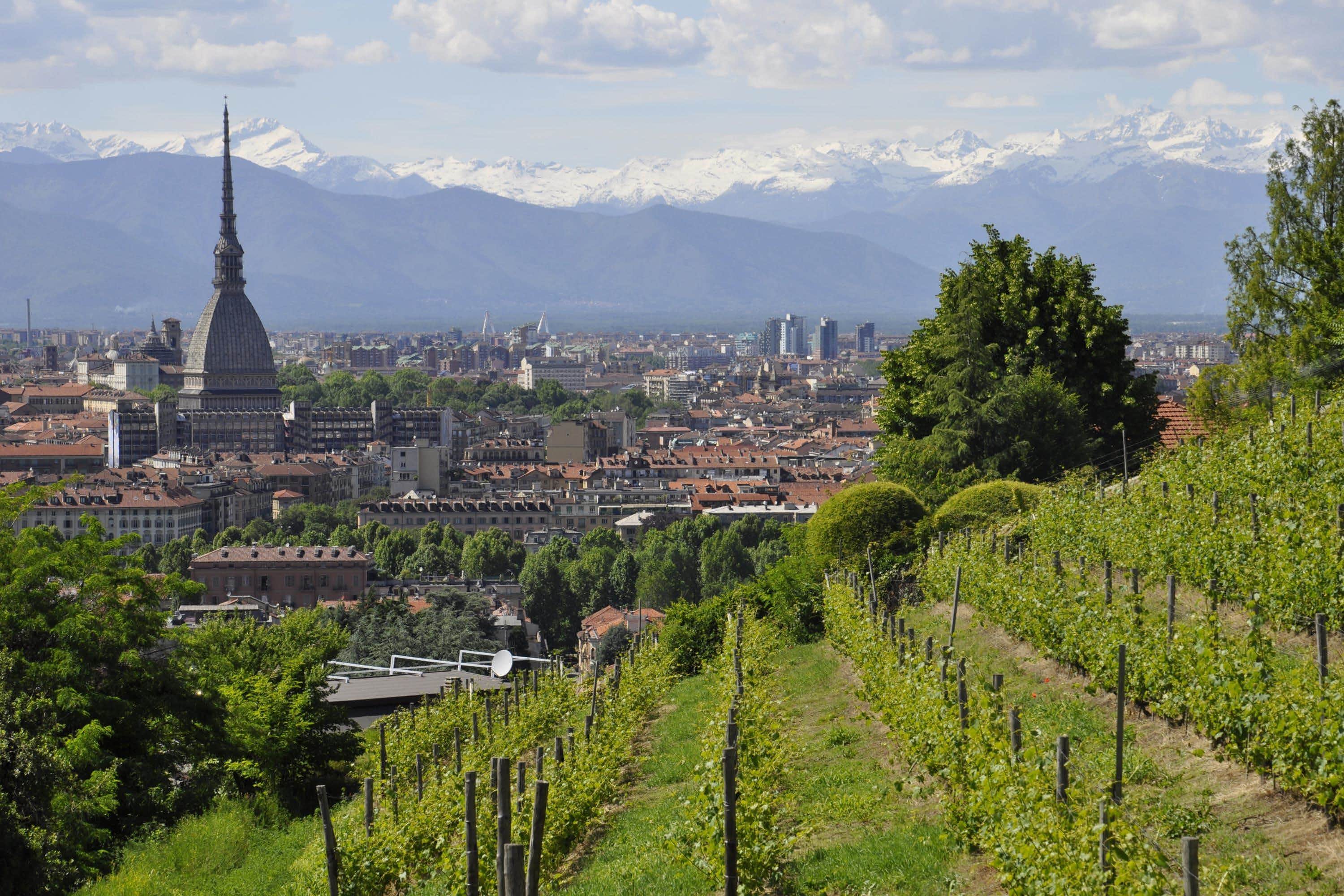 Prendere il Diploma In Un Anno in Piemonte al Serale o On Line